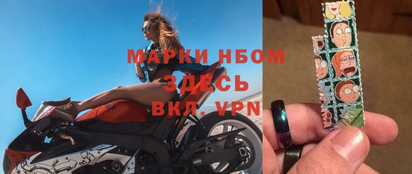 гашик Алексин