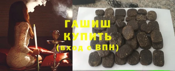 гашик Алексин