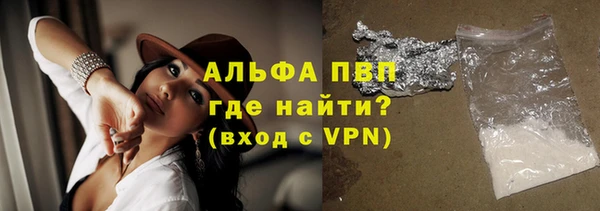 гашик Алексин