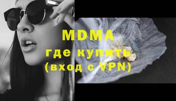 гашик Алексин