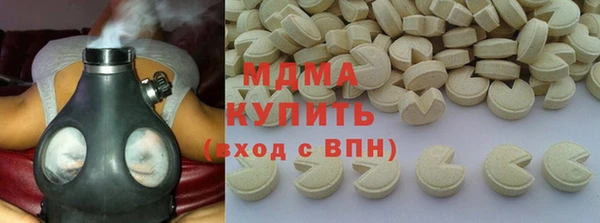 гашик Алексин