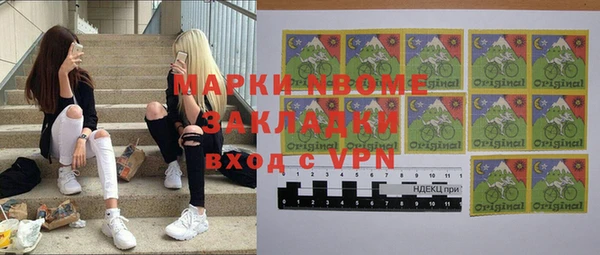 гашик Алексин