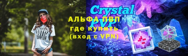 гашик Алексин