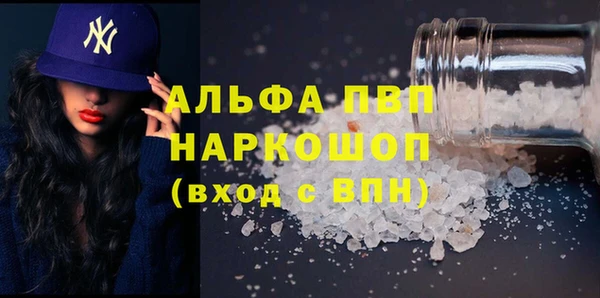 гашик Алексин