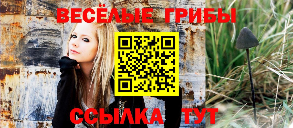 Галлюциногенные грибы Psilocybe  Вход с VPN  Похвистнево 